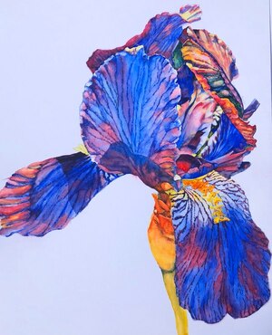 Picture